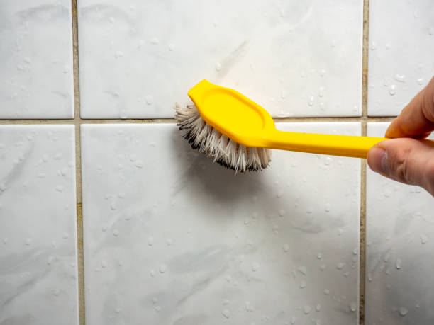 Best Office Mold Removal Services  in Haverford College, PA