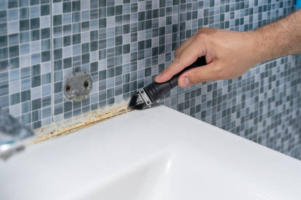 Best Commercial Mold Removal  in Haverford College, PA