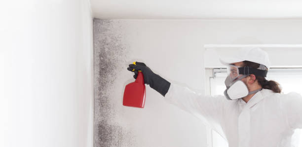 Crawl Space Mold Removal in Haverford College, PA